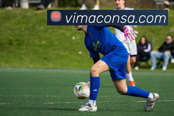 App 示例图